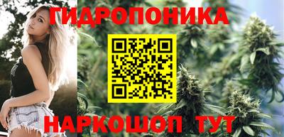 прущие грибы Балашиха