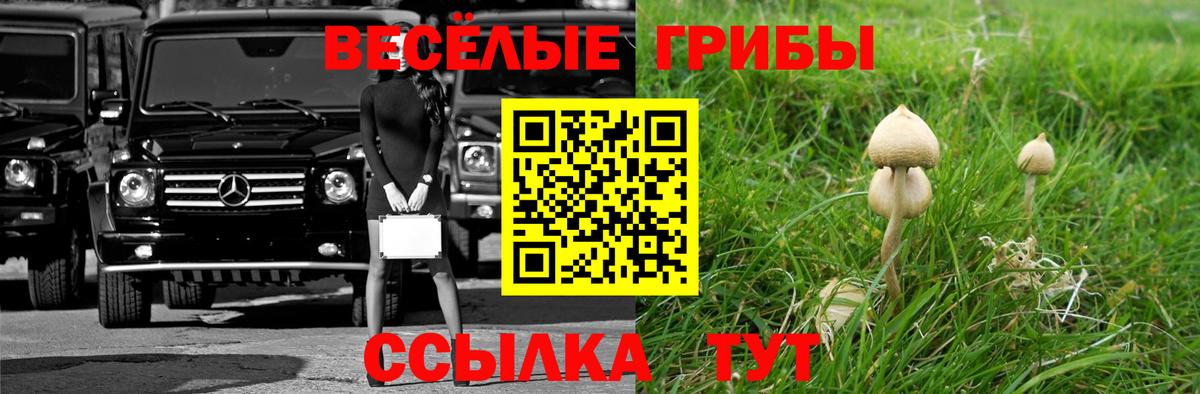 Галлюциногенные грибы MAGIC MUSHROOMS Грязи