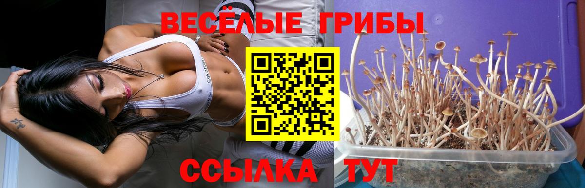 Грязи  Галлюциногенные грибы ЛСД  Вход с VPN 